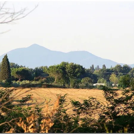 Localita C.s. Montecchio * Cortona
