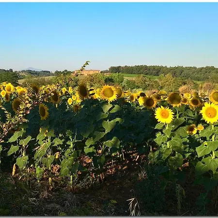 Localita C.s. Montecchio *